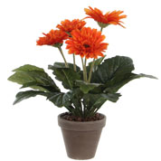 Planta Artificial - Gerbera Laranja - MICA